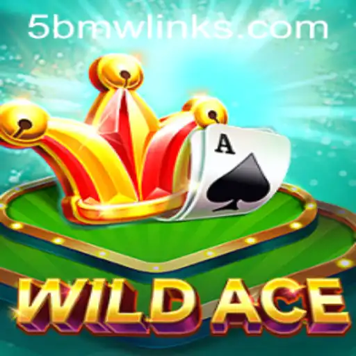 WildAce: A Thrilling Journey into Competitive Strategy